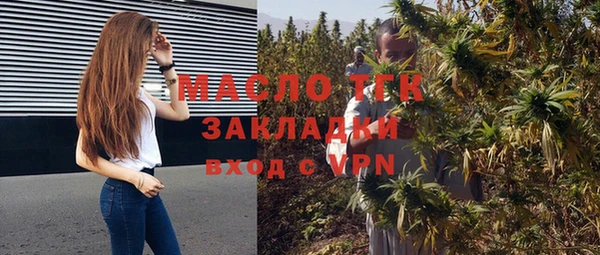 хмурый Арсеньев