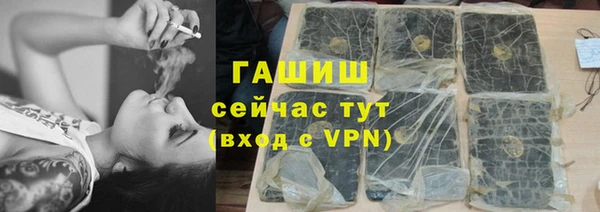 хмурый Арсеньев