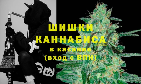 хмурый Арсеньев