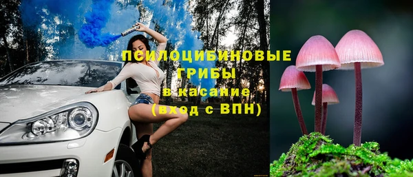 мяу мяу мука Аркадак