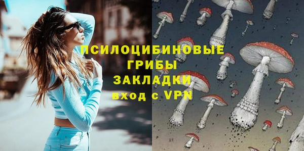 spice Армянск