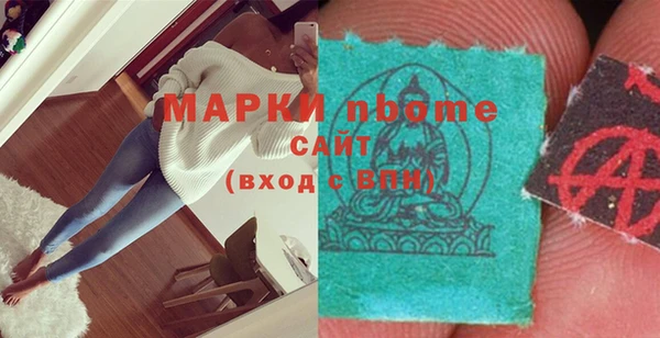 хмурый Арсеньев
