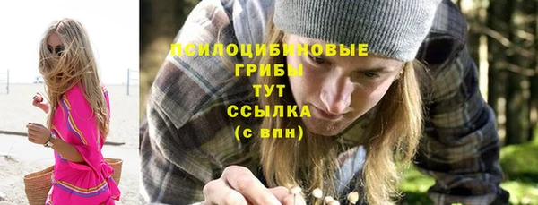 spice Армянск