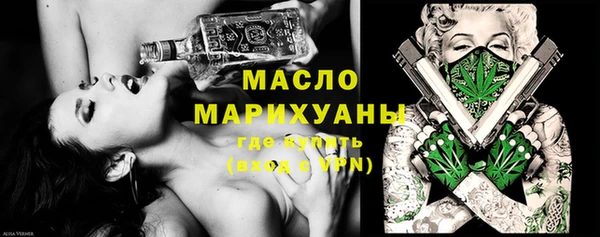 хмурый Арсеньев