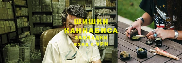хмурый Арсеньев
